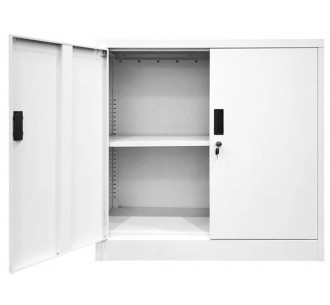 Metal Cabinet (2 shelves)... 2