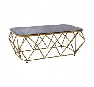 ACTON Coffee Table 123x63...