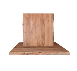 LIZARD Table Top...