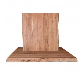 LIZARD Table Top...