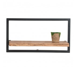 LIZARD Wall Frame...
