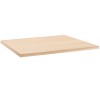 80x120-019-Beech Werzalit Table Top