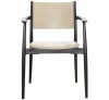 Seginus Brown/cappuccino Polypropylene Armchair 