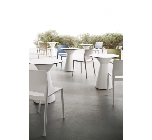 Roller cod.TROLC040.00-00/H74 Technopolymer Table