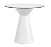 Roller cod.TROLC056.00-00/H74 Technopolymer Table 