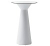 Roller cod.TROLC040.00-00/H110 Technopolymer Table 