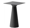 Roller cod.TROLC044.10-10/H110 Technopolymer Table