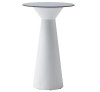 Roller cod.TROLC040.00-14/H110 Technopolymer Table