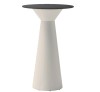 Roller cod.TROLC040.54-10/H110 Technopolymer Table