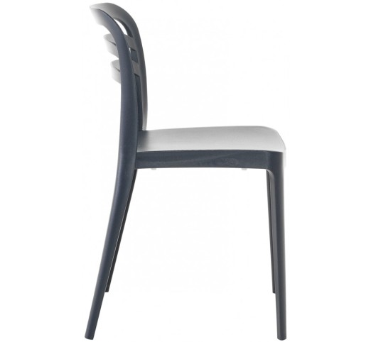 Aspen chair by Novussi | Avant Garde