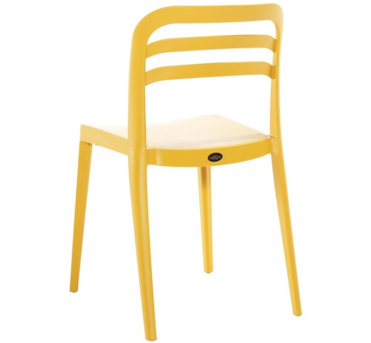 Aspen chair by Novussi | Avant Garde