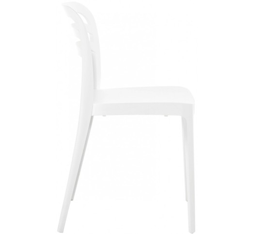 Aspen chair by Novussi | Avant Garde