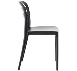 Aspen chair by Novussi | Avant Garde