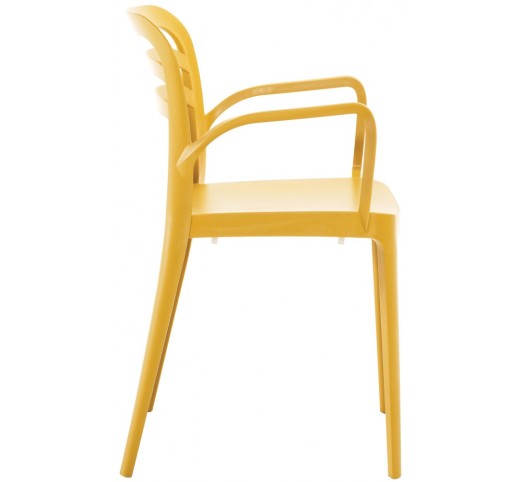 Aspendos armchair by Novussi | Avant Garde - exclusive agent