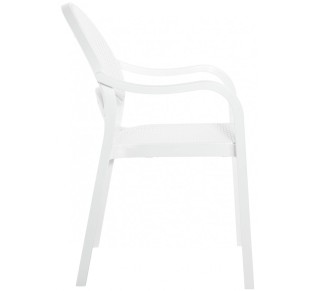 TROPIC armchair by Novussi | Avant Garde