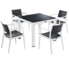 Seginus White/anthracite Dining set 90x90cm