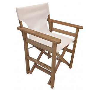 Director armchair K501 2