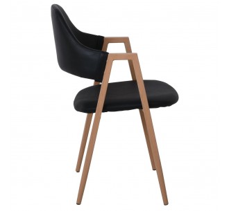 DELTA Armchair / Metal... 2