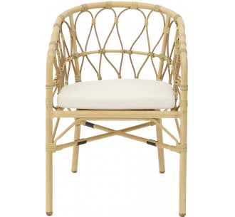 Neptune Aluminum Armchair 2