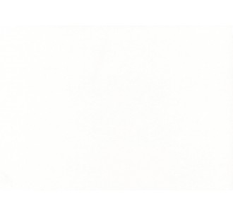 Pure white 0406 Topalit top 2