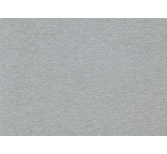 Brushed Silver 0107 Topalit... 2