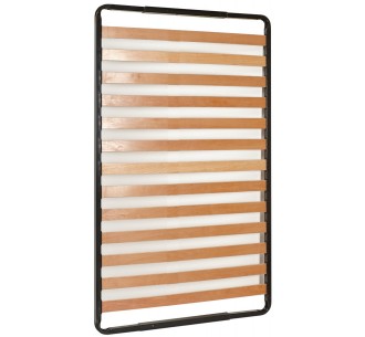Anatomic frame (13 BOARDS)