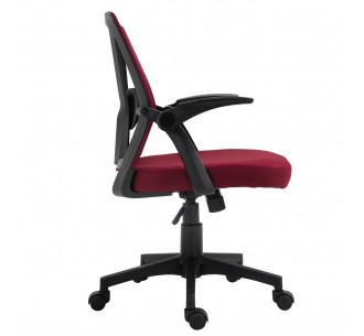 BF2130 Armchair / Bordeaux... 2