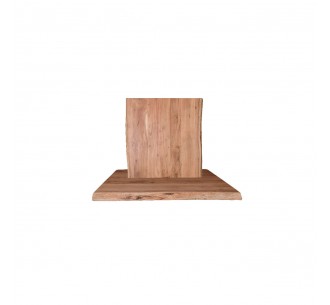 LIZARD-W Table Top...