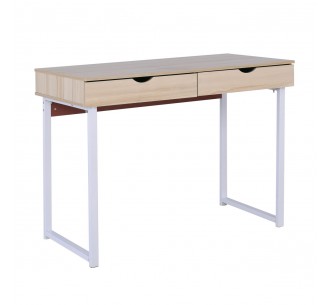 PC Metal Desk (2 drawers)...