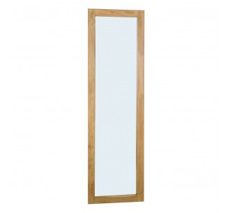 REFLEX Mirror 50x3x170...